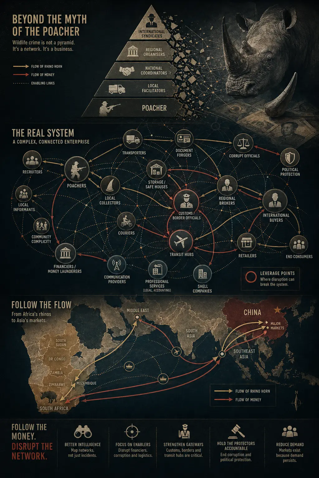 Conceptual wildlife-crime network with a rhino and connected actors